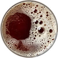 https://www.beerbelly.store/wp-content/uploads/2017/05/beer_transparent_02-1.png