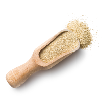 ingredients_transparent_02 https://www.beerbelly.store/wp-content/uploads/2017/05/ingredients_transparent_02-1.png