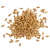 ingredients_transparent_03 https://www.beerbelly.store/wp-content/uploads/2017/05/ingredients_transparent_03-1.png
